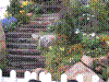 flower show2004 061.jpg